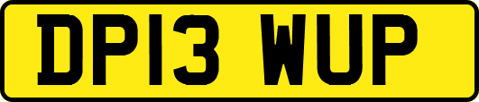 DP13WUP