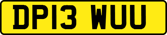 DP13WUU