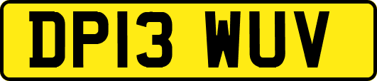DP13WUV