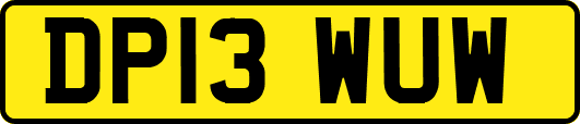 DP13WUW