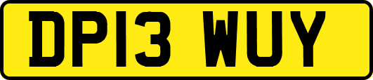 DP13WUY