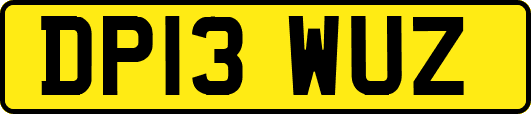 DP13WUZ