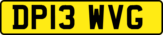DP13WVG