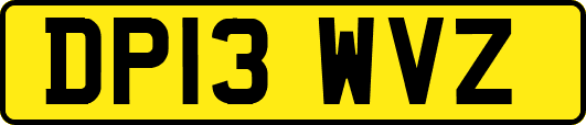 DP13WVZ