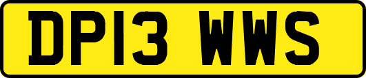 DP13WWS