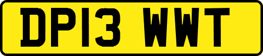 DP13WWT