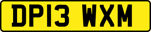 DP13WXM