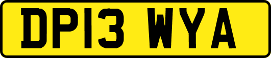 DP13WYA