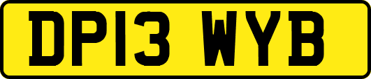 DP13WYB