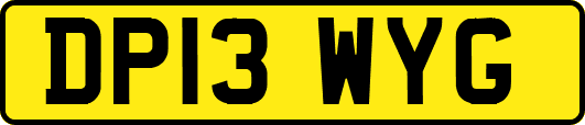 DP13WYG