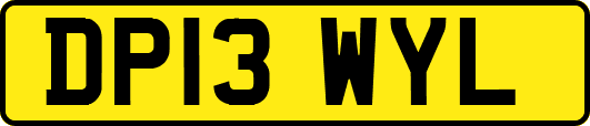 DP13WYL