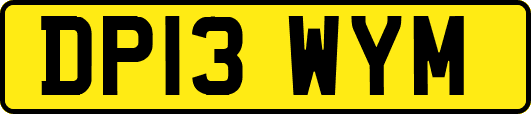DP13WYM
