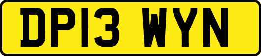 DP13WYN