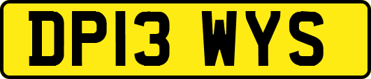 DP13WYS
