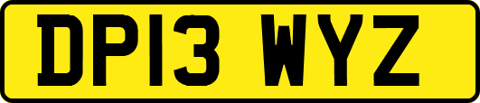 DP13WYZ