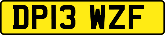 DP13WZF