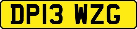 DP13WZG