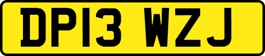 DP13WZJ