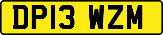 DP13WZM