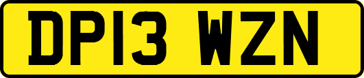 DP13WZN