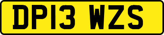 DP13WZS