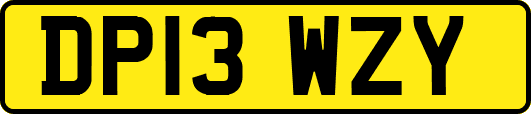 DP13WZY