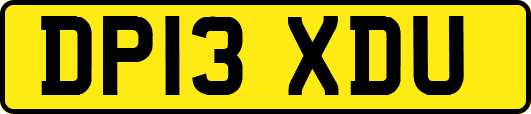 DP13XDU