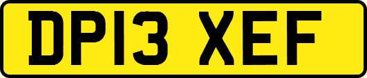 DP13XEF