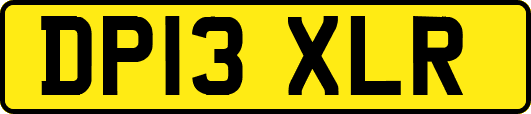 DP13XLR