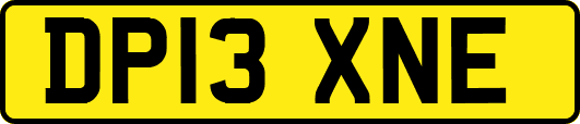 DP13XNE