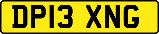DP13XNG