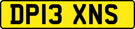 DP13XNS
