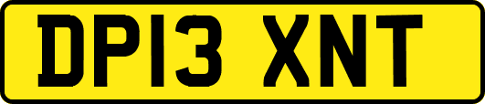 DP13XNT