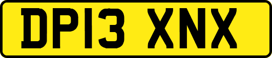 DP13XNX