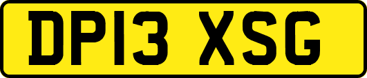 DP13XSG