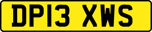 DP13XWS