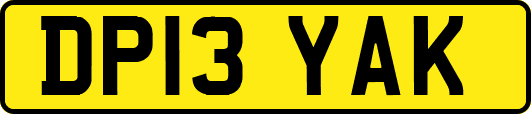 DP13YAK