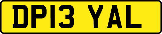 DP13YAL