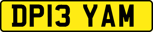 DP13YAM