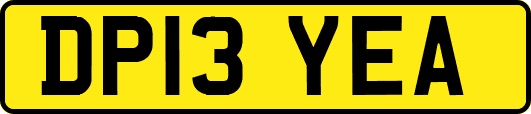 DP13YEA