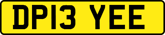 DP13YEE