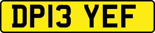 DP13YEF