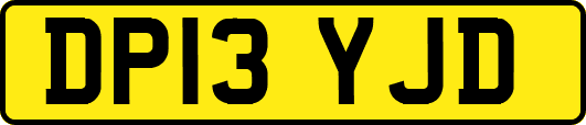 DP13YJD