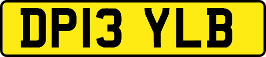 DP13YLB