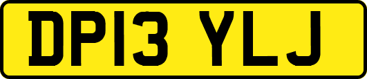 DP13YLJ