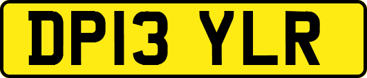 DP13YLR