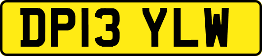DP13YLW