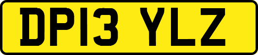 DP13YLZ