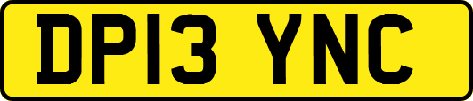 DP13YNC