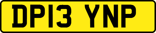 DP13YNP